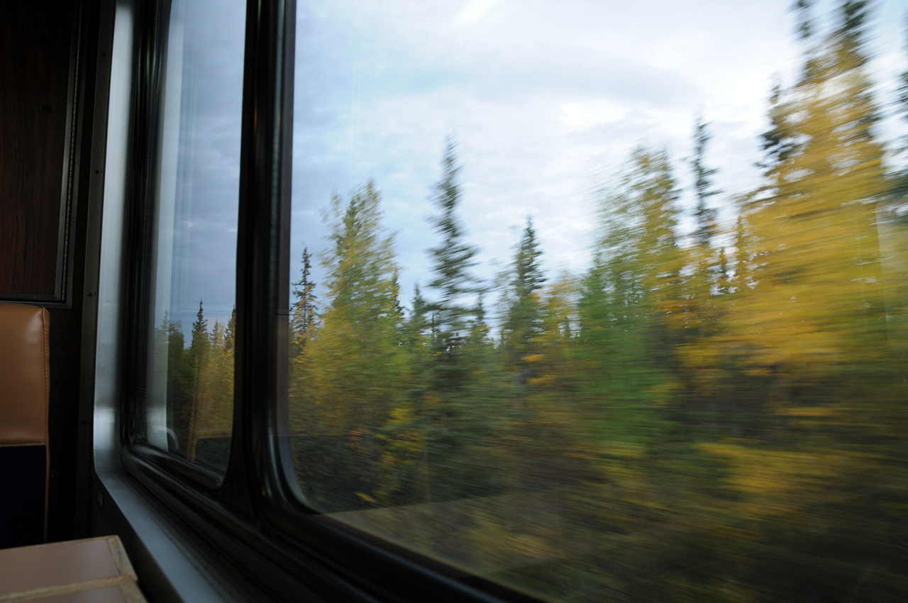 アラスカ鉄道の車窓