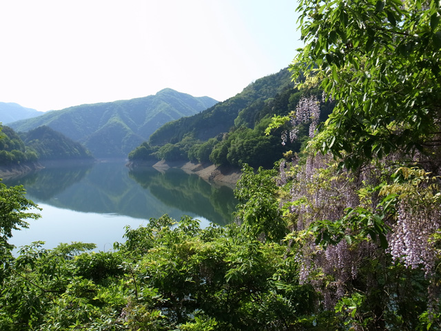 奥多摩湖畔にて