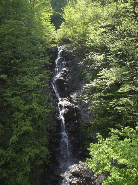 都民の森にある三頭大滝